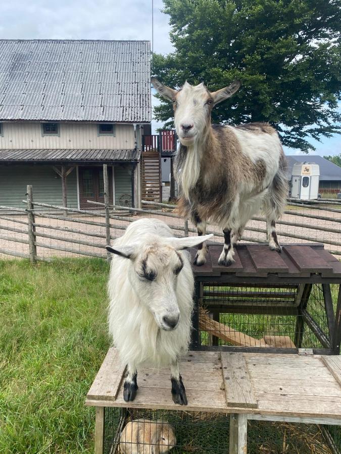 J A Ranch Bed & Breakfast Stromsnasbruk 외부 사진